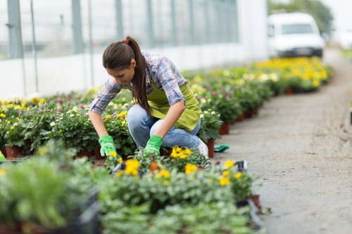 Gardeners Bexley team carrying out safe garden maintenance procedures