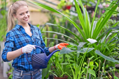 Image illustrating Gardeners Bexley ethical labour commitment