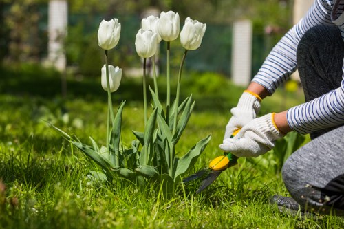 Landscape gardening in Bexley with a neatly designed patio and planting beds