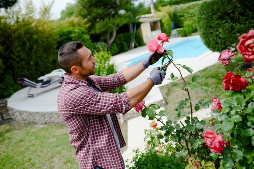 Lawn mowing and feeding services for Bexley homes