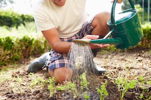 Professional garden clearance and waste removal in Bexley