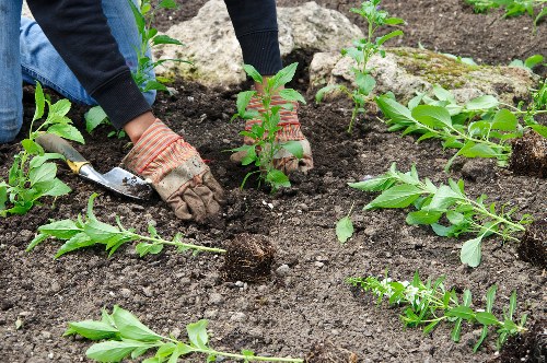 Visa and Mastercard payment security for Gardeners Bexley