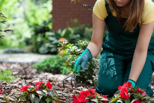 Seasonal garden maintenance in Bexley with clean paths and plants
