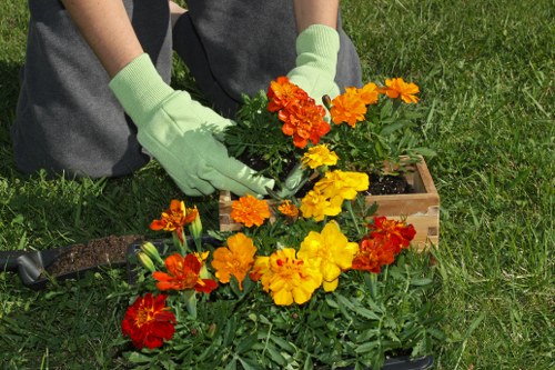 Risk assessment in a garden maintenance setting