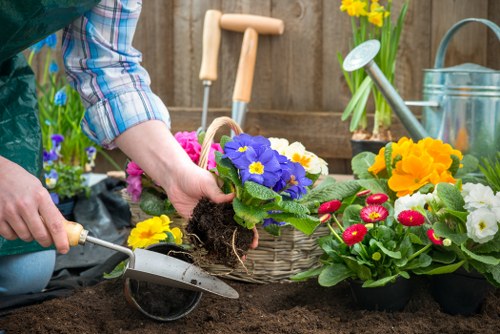 Bexley lawn care and garden upkeep with neat edges and greenery
