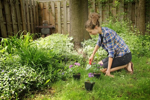 Residential lawn mowing in Bexley on a sunny day