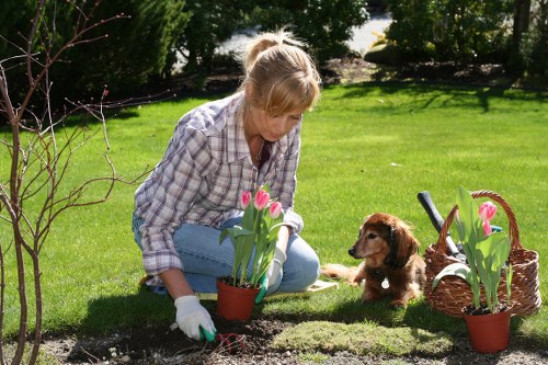 Garden hedge maintenance improving kerb appeal in Bexley