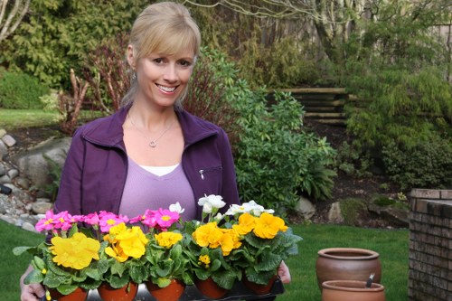 Local gardener providing lawn and hedge maintenance in Bexley