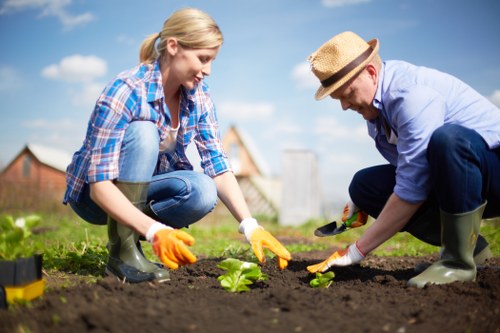 Outdoor gardening service with tools and maintained lawn area