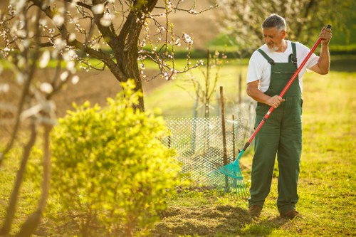 Seasonal lawn maintenance and mowing in Bexley