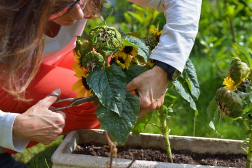 Garden maintenance work for a healthy outdoor space in Bexley