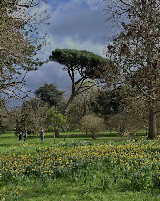 A lush garden scene at Danson Park featuring vibrant, flowering rhododendrons and azaleas in shades of bright pink, red, and purple, set amidst tall, green-leaved trees with textured bark and spreadin