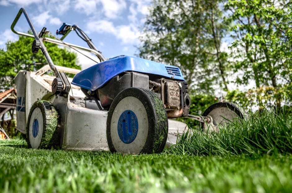 A close-up view of a petrol-powered lawn mower in the foreground, with its blades slightly above a lush, green grass lawn. The mower has a blue cover, black wheels, and a metallic body, with visible e