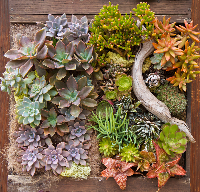 Garden design garden